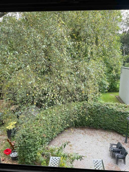 Im Schildescher Ortskern Apartment *